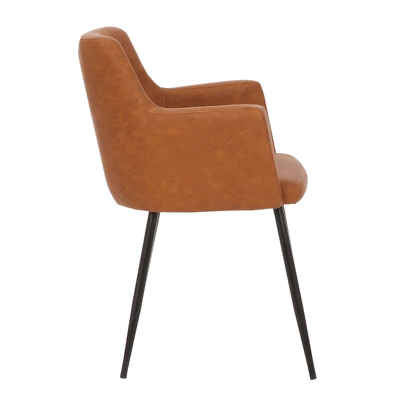 Modern-Style Dining Chairs & Accent Chairs (Set of 2)