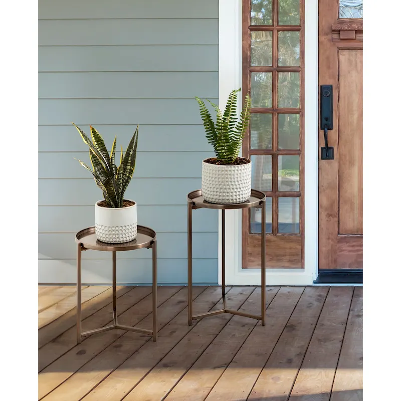 Kate and Laurel Aguilar Plant Stand Set - 2 Piece