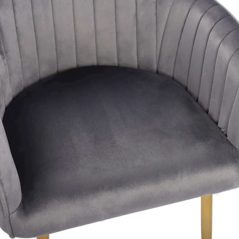 Velvet Accent Dining Chairs with Gold Metal Legs Set of 2