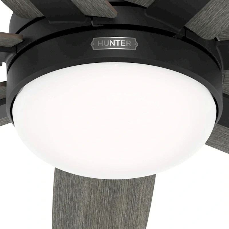 Hunter 60  Wilder Ceiling Fan with LED Light Kit and Wall Control