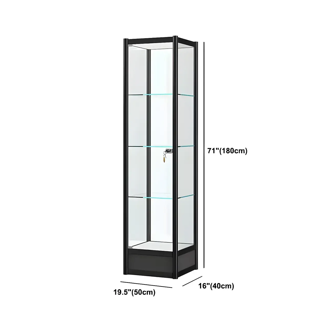 Rectangular Black Clear Glass Metal Frame Curio Cabinet