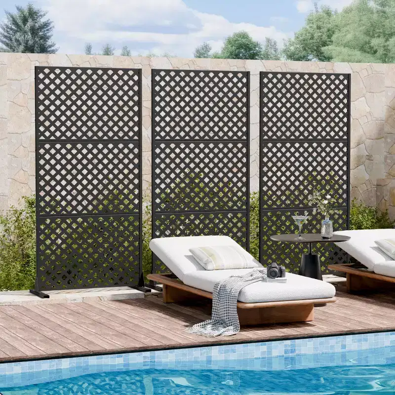Black Steel 5-Panel Room Divider, Double-Sided, 1-Person Use