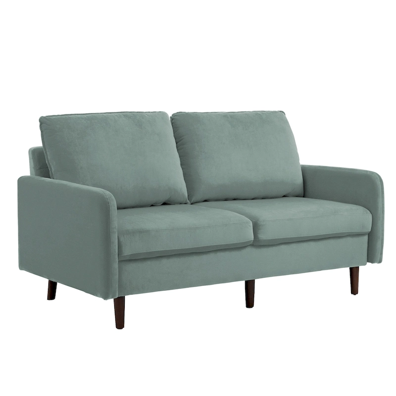 Modern Loveseat Velvet Wood Legs Sofa