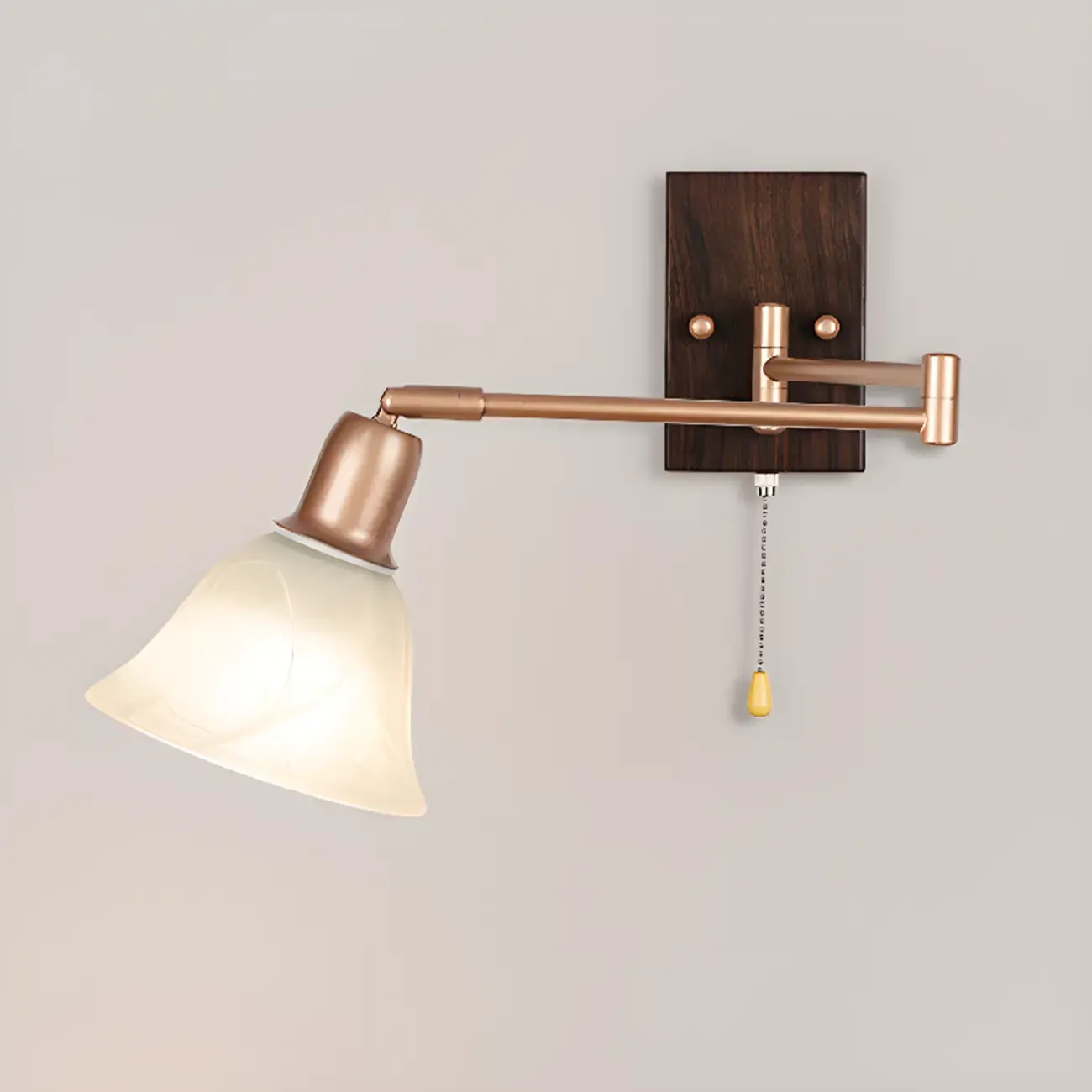 Elegant Swing Arm Wall Mount Light with Pull Chain Switch