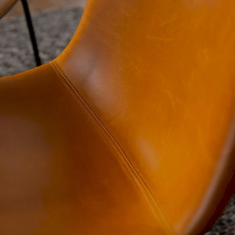 Faux Leather Dining Chair (Set of 2)