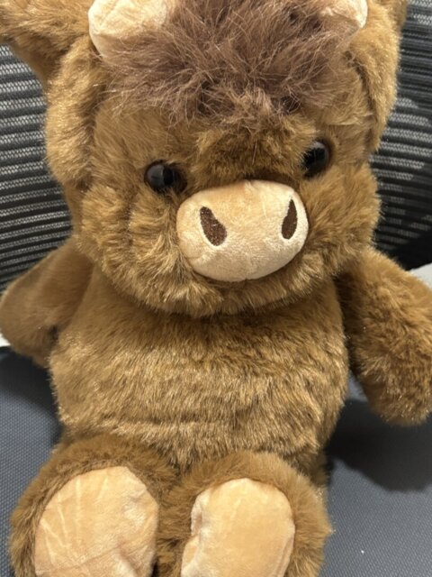 Chubby highland cow plush details