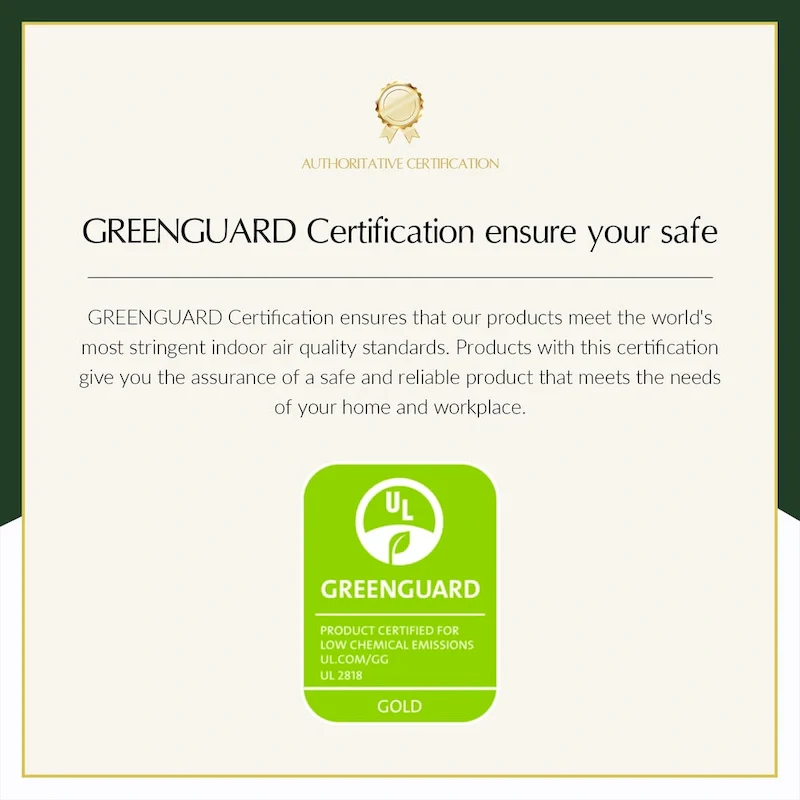 Antoine Modern Ratten Back Dining Chair with Removable Cushion Set of 6 by HULALA HOME