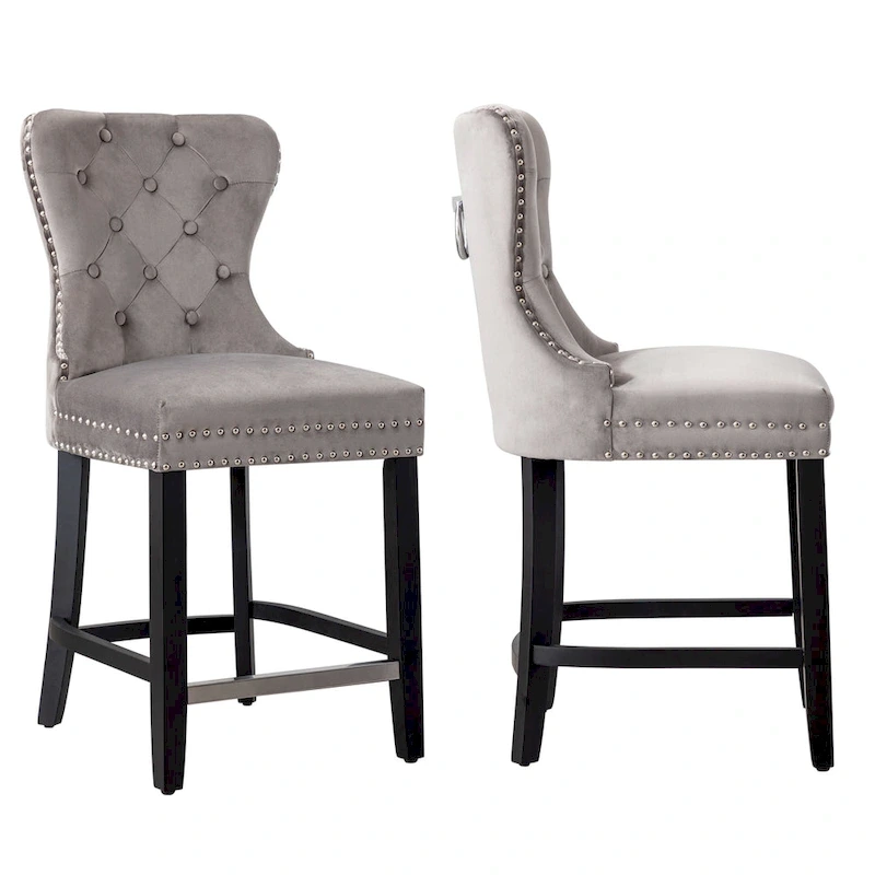 Carter 24  Wingback Tufted Nailhead Counter Stool (Set of 2)