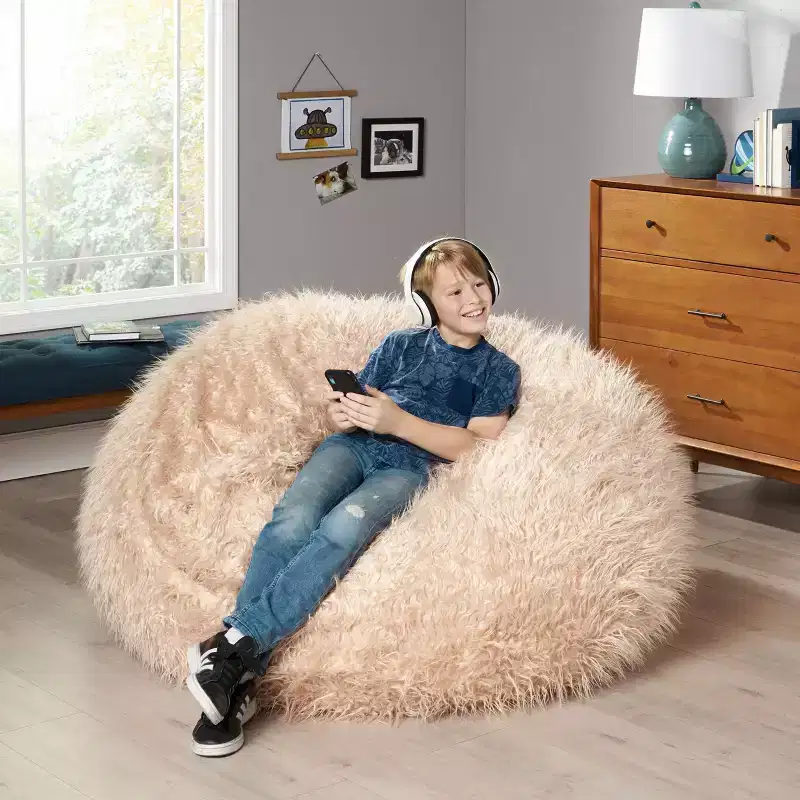 Lachlan Furry Bean Bag - Christopher Knight Home