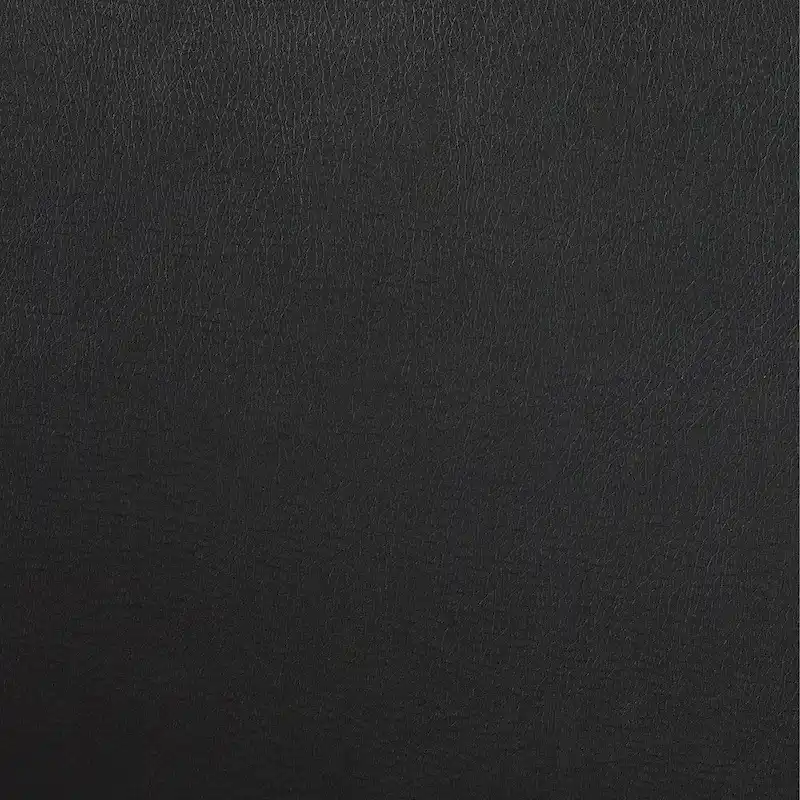 Art Leon Set of 2 Mid-century PU Leather Bentwood Dining Chairs