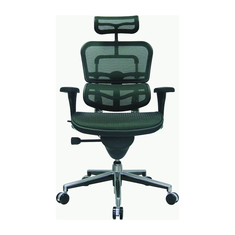 Eurotech Seating Ergohuman Mesh Managers Chair
