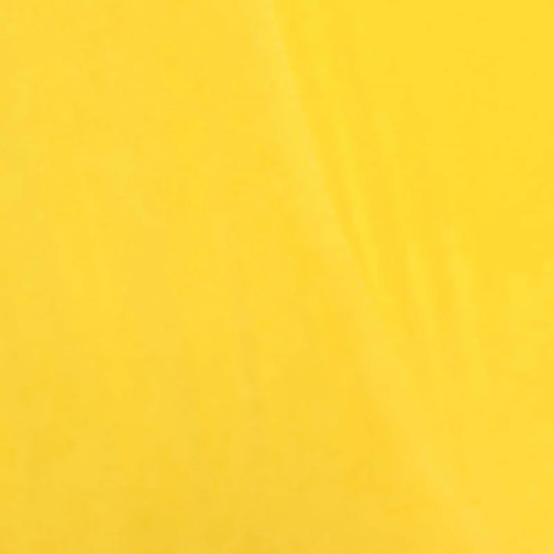 Marina Modern Velvet Accent Chair with Golden Legs Set of 2 by HULALA HOME