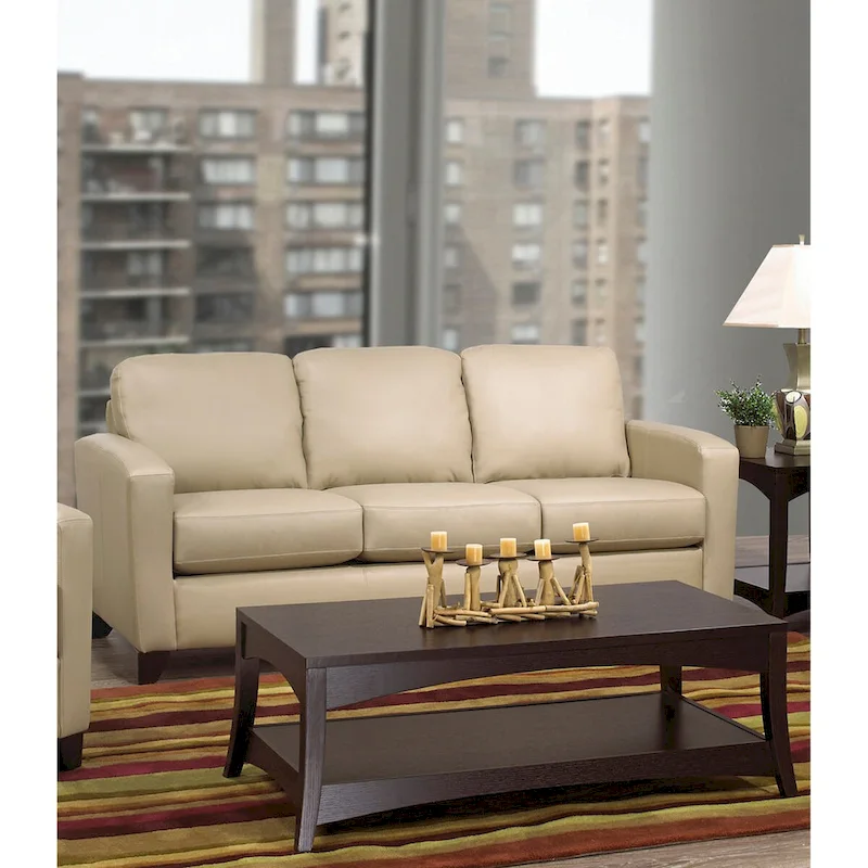 Bryce Italian Top Grain Leather Upholstered Transitional Sofa