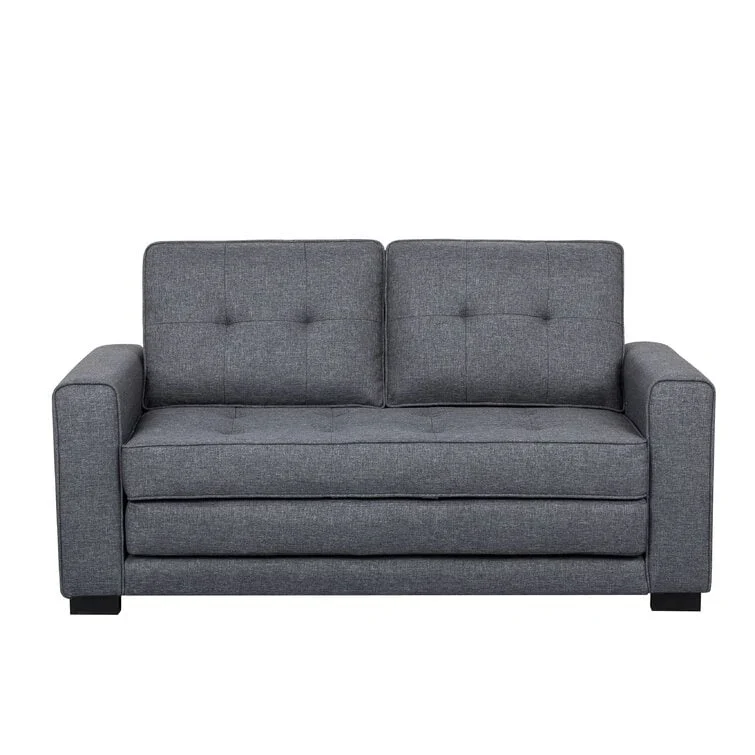 Daisy Modern Fabric Loveseat and Sofa Bed