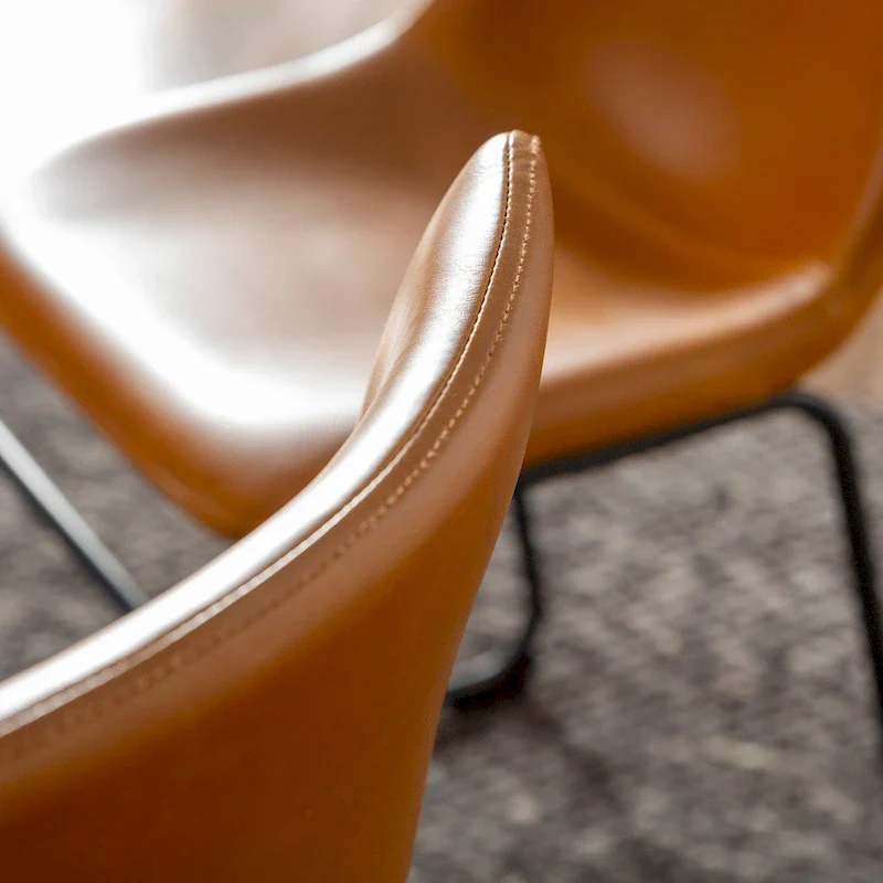 Faux Leather Dining Chair (Set of 2)