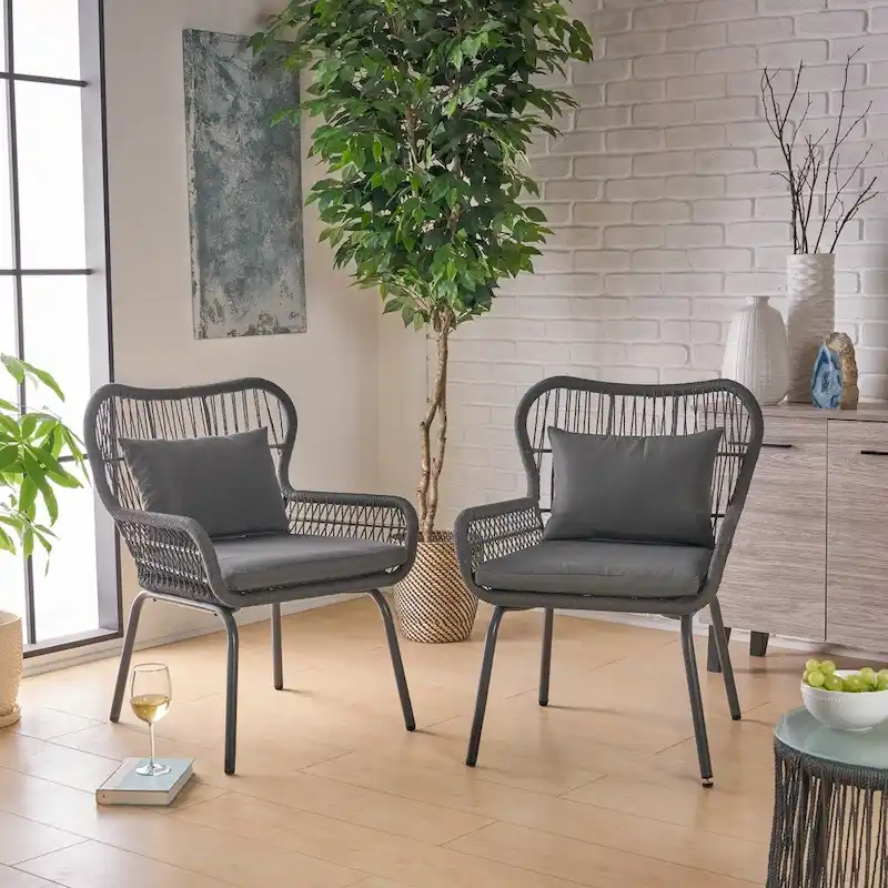 Tolovana Indoor Steel and Rope Club Chairs with Cushioned by Christopher Knight Home