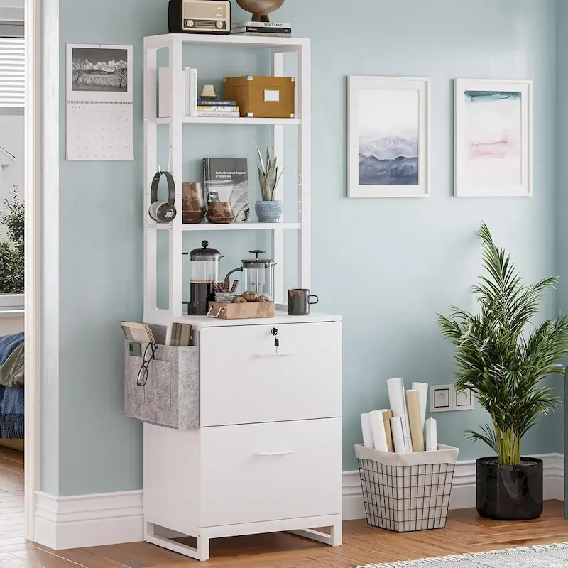 File Cabinet 2 Drawer Lock Filing Cabinet Printer Stand Bookshelves