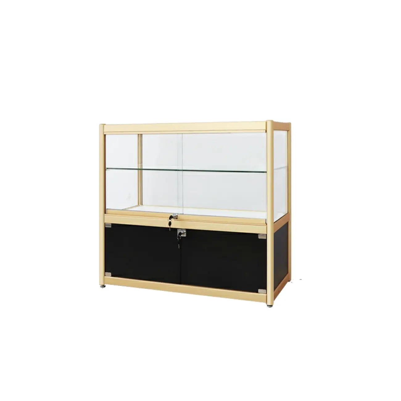 Gold Rectangular Metal Frame Glass Curio Cabinet