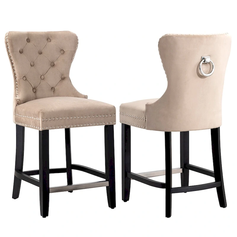 Carter 24  Wingback Tufted Nailhead Counter Stool (Set of 2)