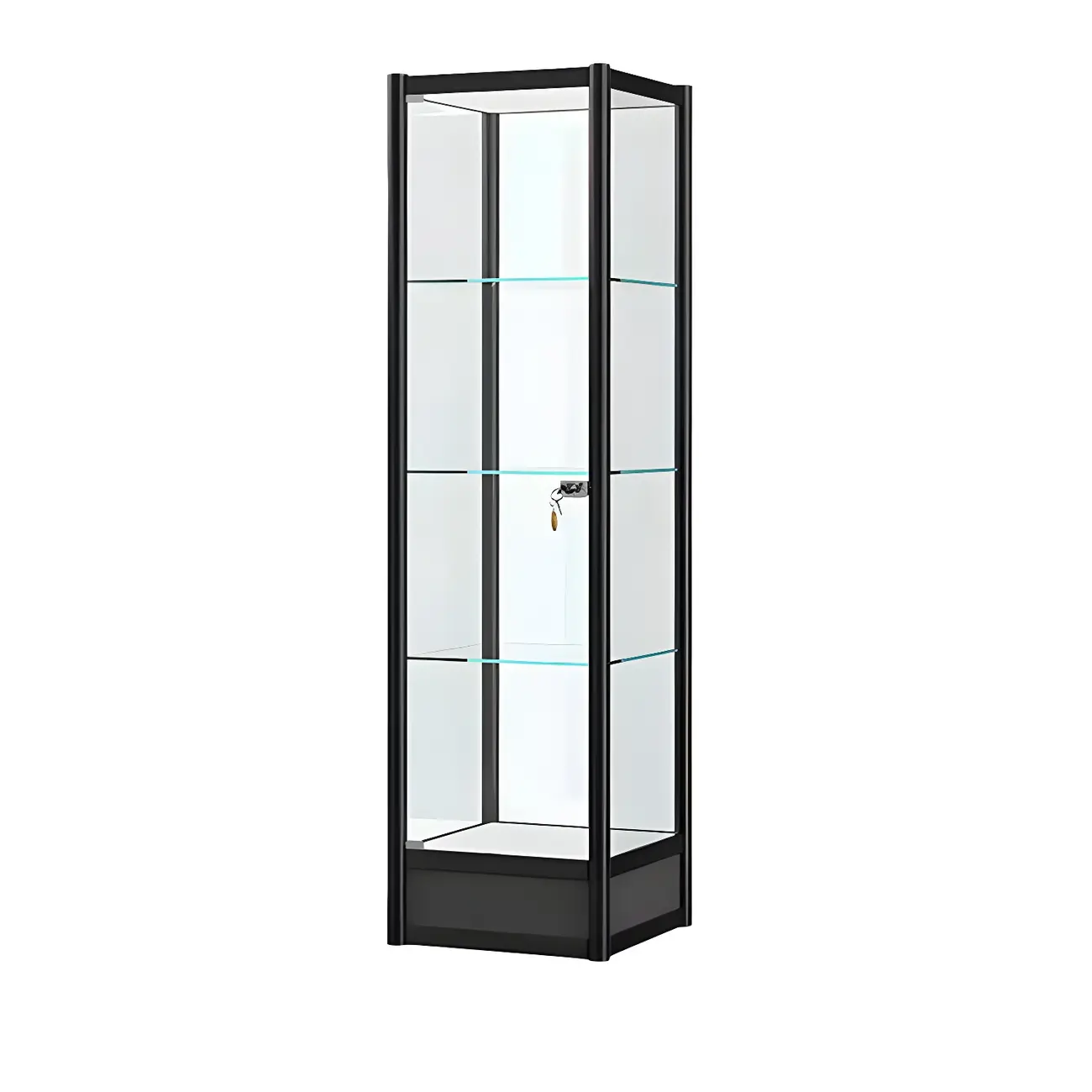 Rectangular Black Clear Glass Metal Frame Curio Cabinet