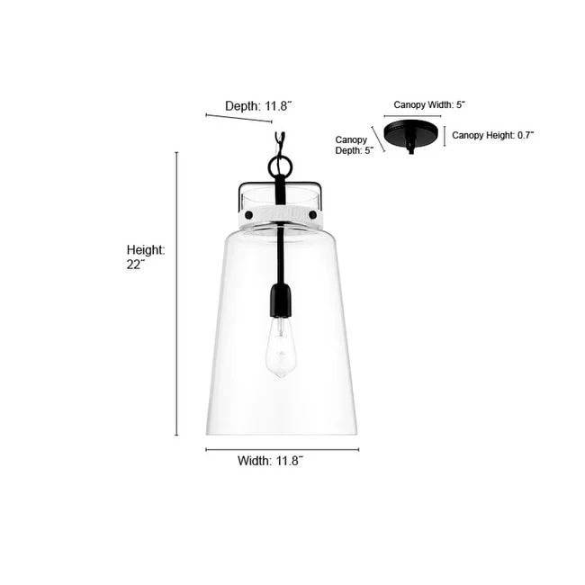 Millennium Lighting 22701 Lolla 12  Wide Pendant