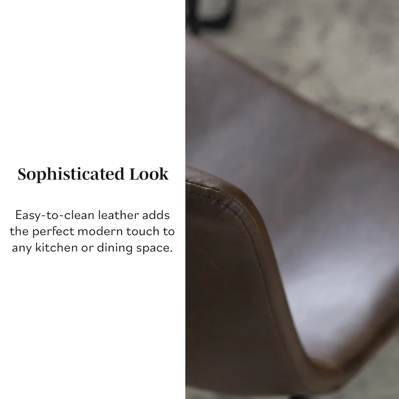 Faux Leather Dining Chair (Set of 2)