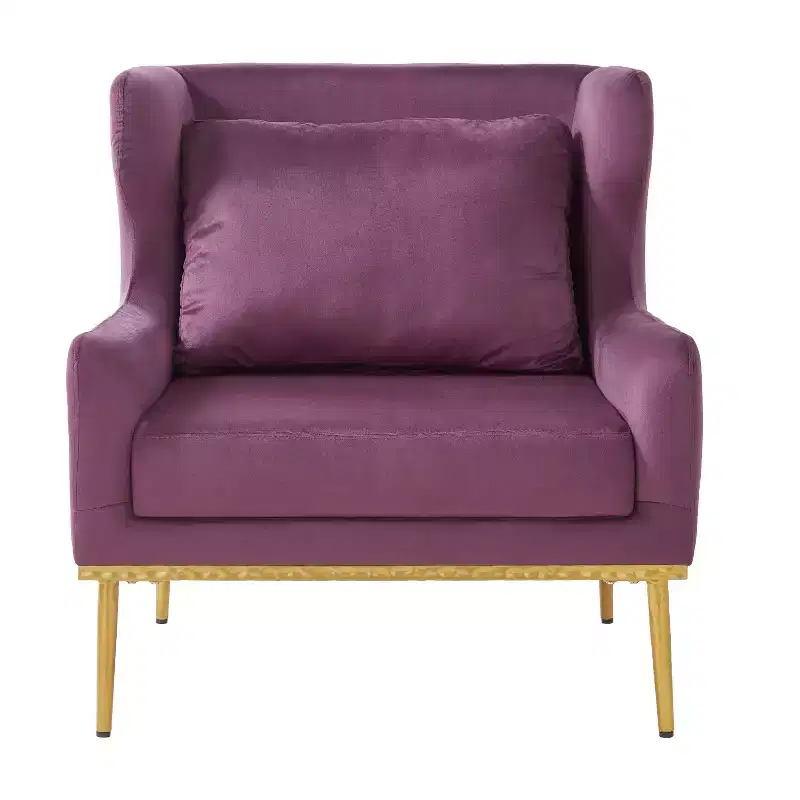 Christopher Knight Home Galina Modern Velvet Armchair with Pillow