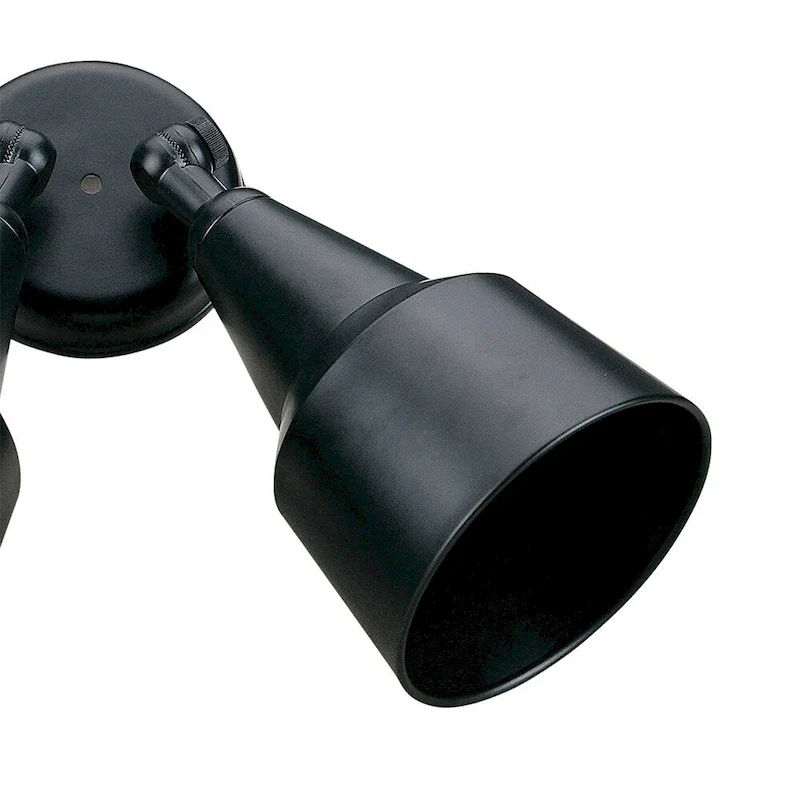 AA Warehousing Outdoor Black 2-light Flood Light