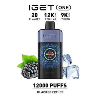 New IGET ONE 12000 Puffs 12 Flavors