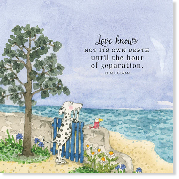 Affirmations - Twigseeds Sympathy Card  - Love Knows - K158