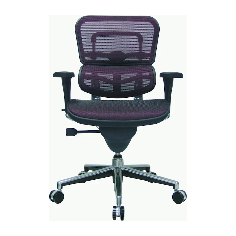 Eurotech Seating Ergohuman Mesh Managers Chair