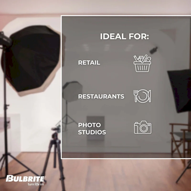 Bulbrite Pack of (6) 60 Watt Dimmable Half Gold A19 Incandescent Light Bulbs with Medium (E26) Base, 2700K Warm White Light