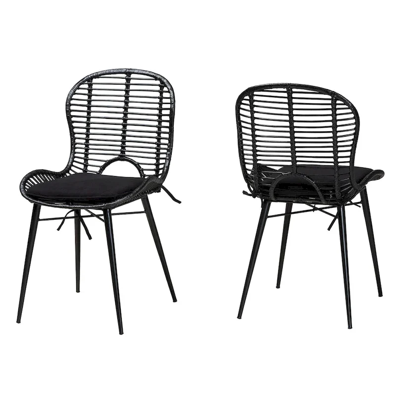 Brenna Modern Bohemian Rattan and Metal 2-Piece Dining Chair Set