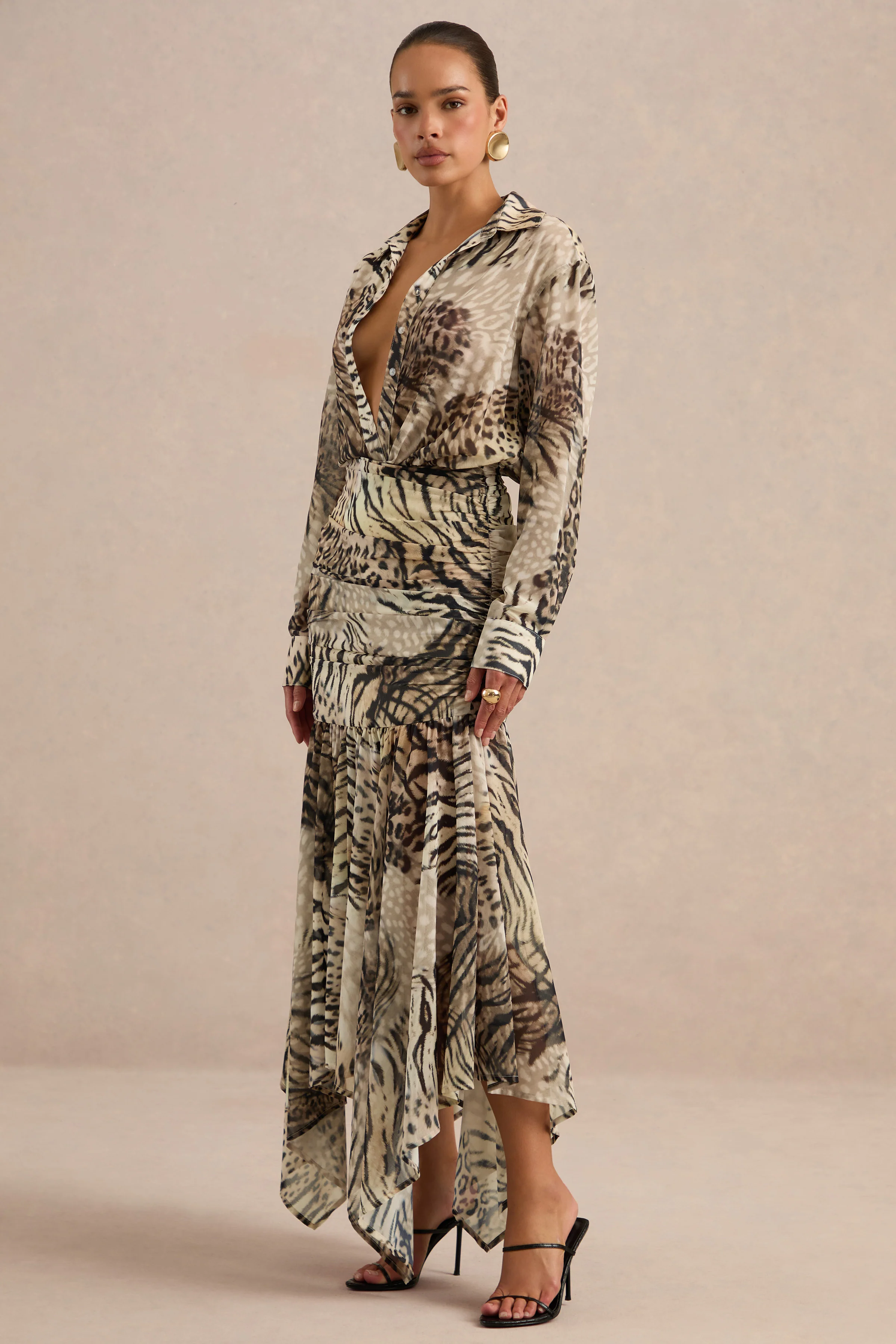 Kris | Brown Animal Print Chiffon V Neck Long Sleeve A-Line Maxi Dress