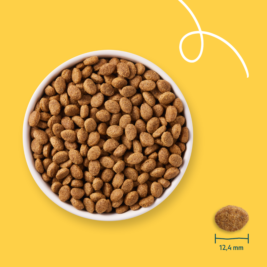 Yarrah Dry Food for Senior Dogs Bio - 2kg