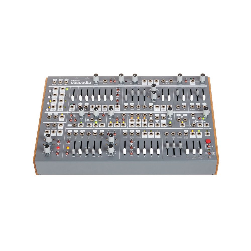 Intellijel Designs Cascadia – Thomann Ireland