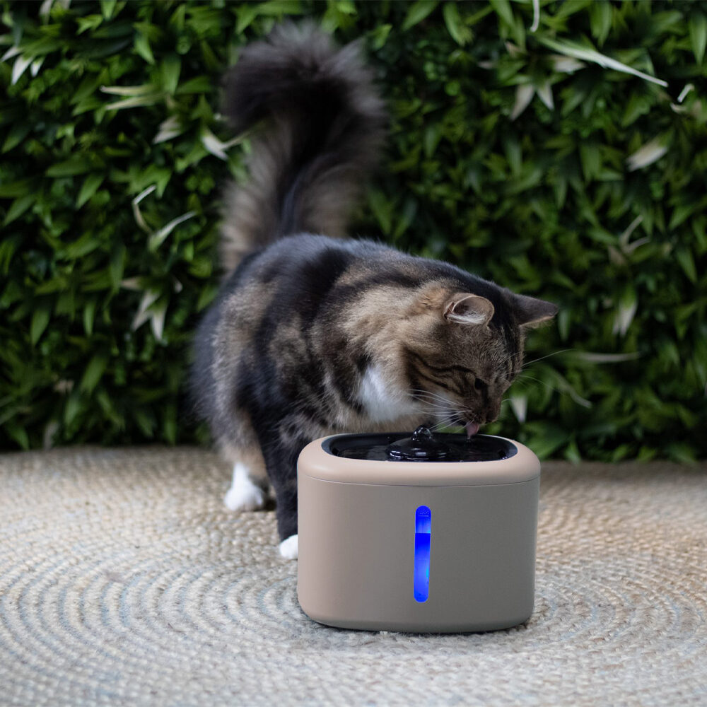Boony Aquabella Drinking Fountain - Cappuccino