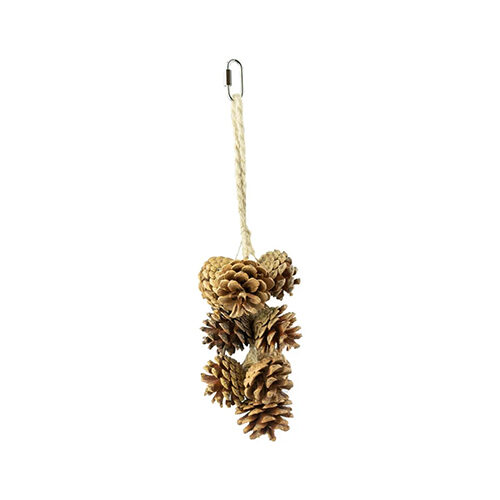 Back Zoo Nature Pinecone Garland