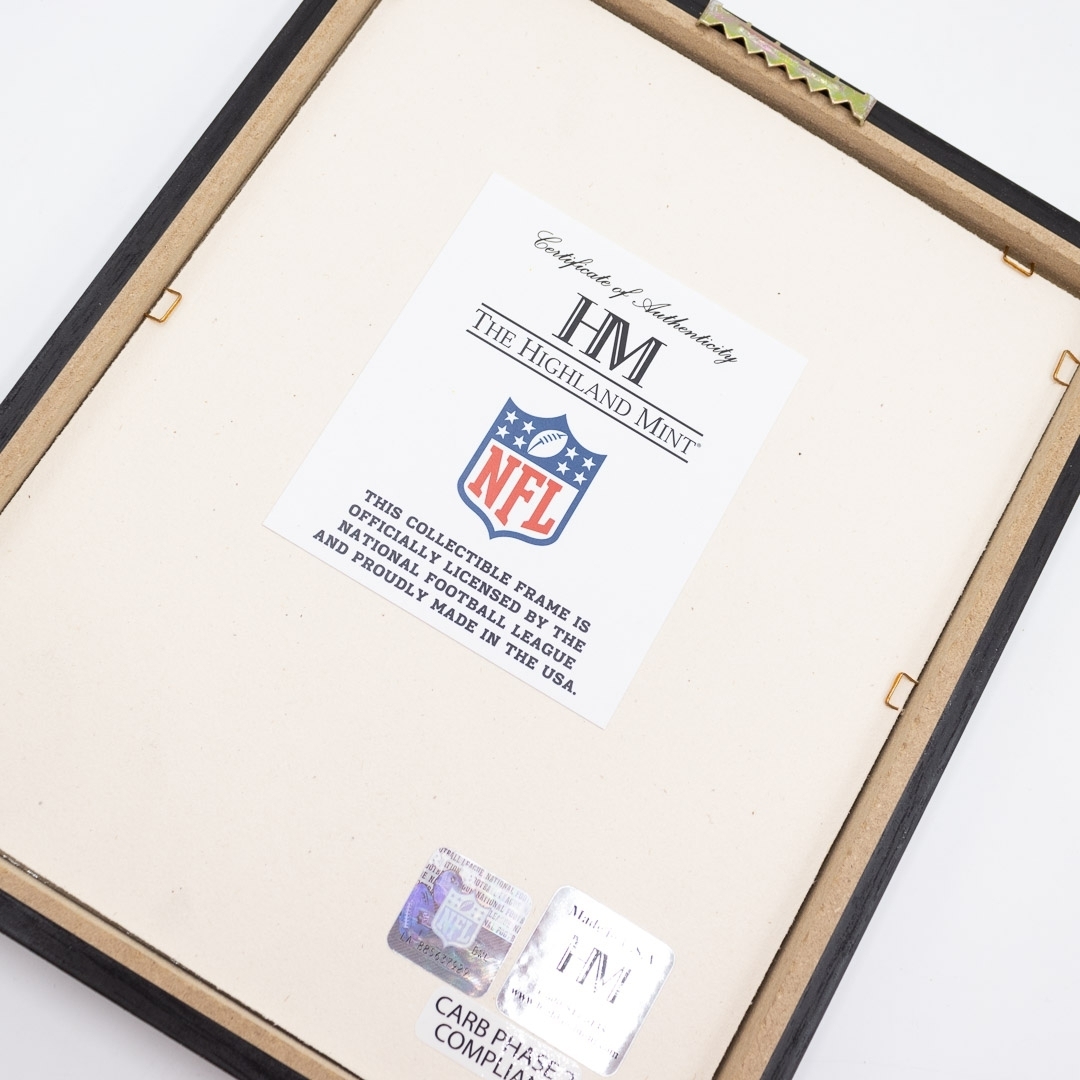 2024 NFL Munich Game Carolina Panthers Framed Photo
