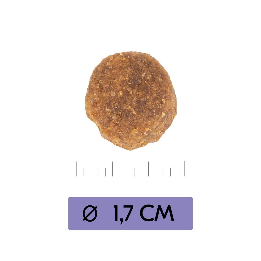 Vetality Adult Maxi Dog - 3 kg