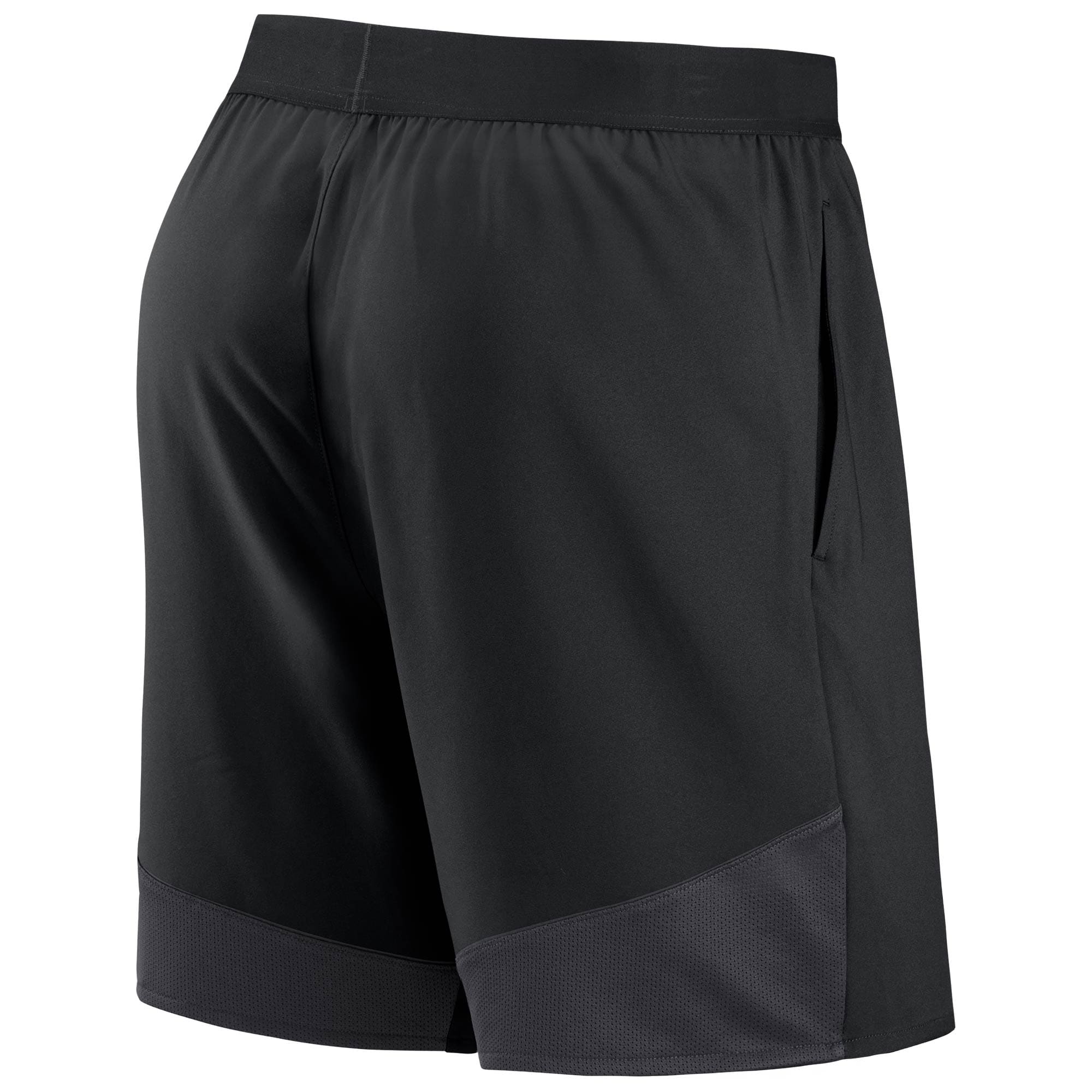 Pittsburgh Steelers Big Logo Nike Dri-FIT Performance NFL Shorts Black