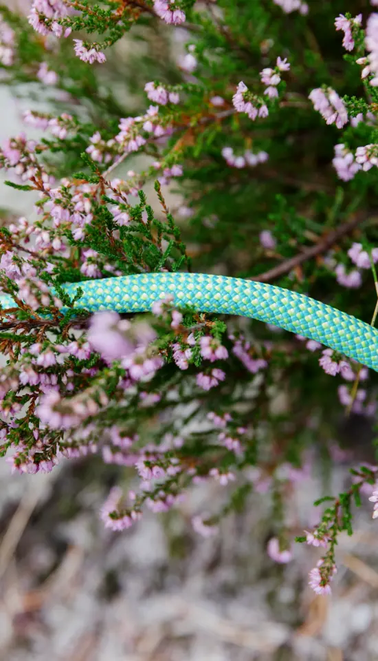 EAGLE LITE ECO DRY 9,5MM