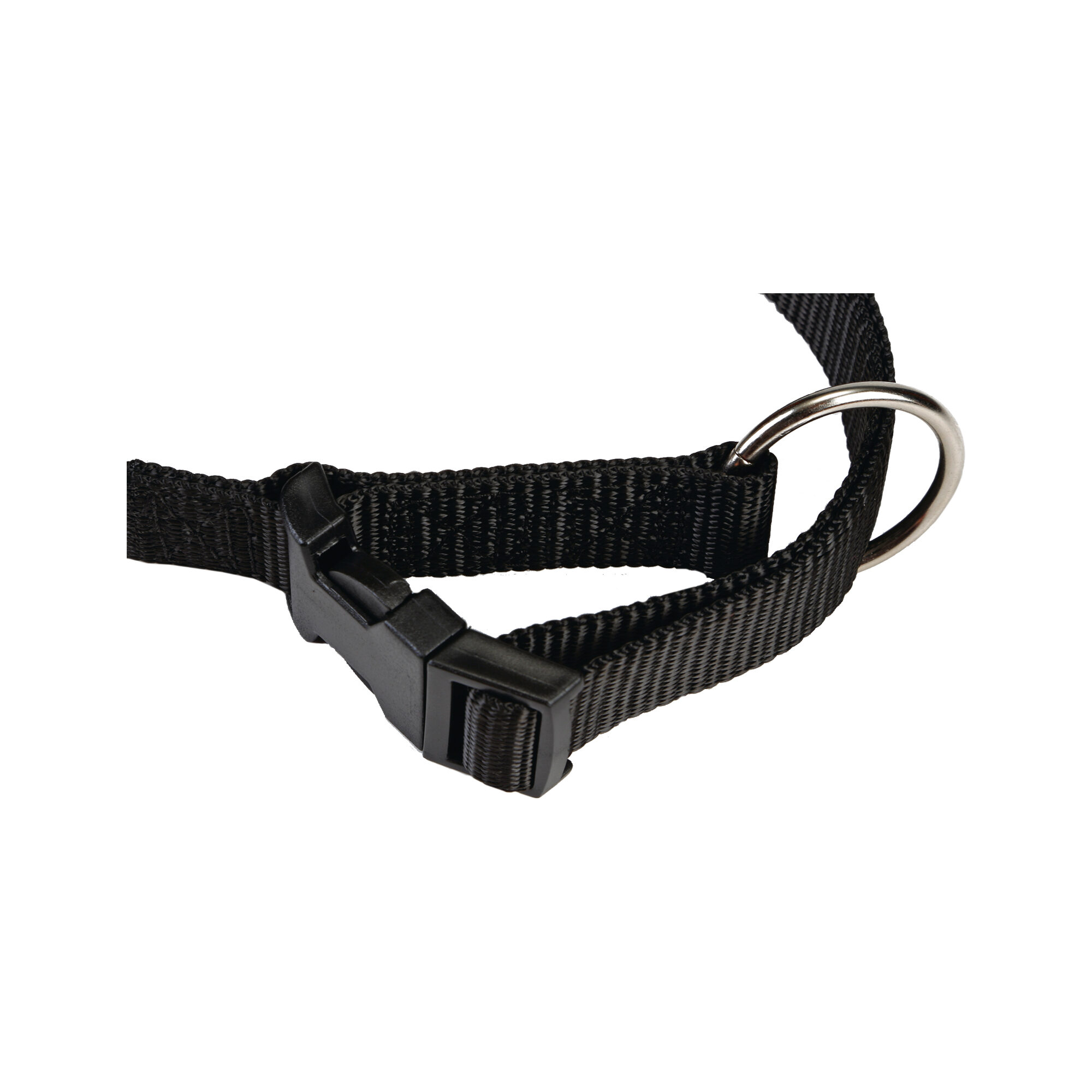 Beeztees Collar Dog - Black - Nylon - 22-35 cm x 10 mm
