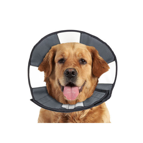 ZenPet Zen Collar - M