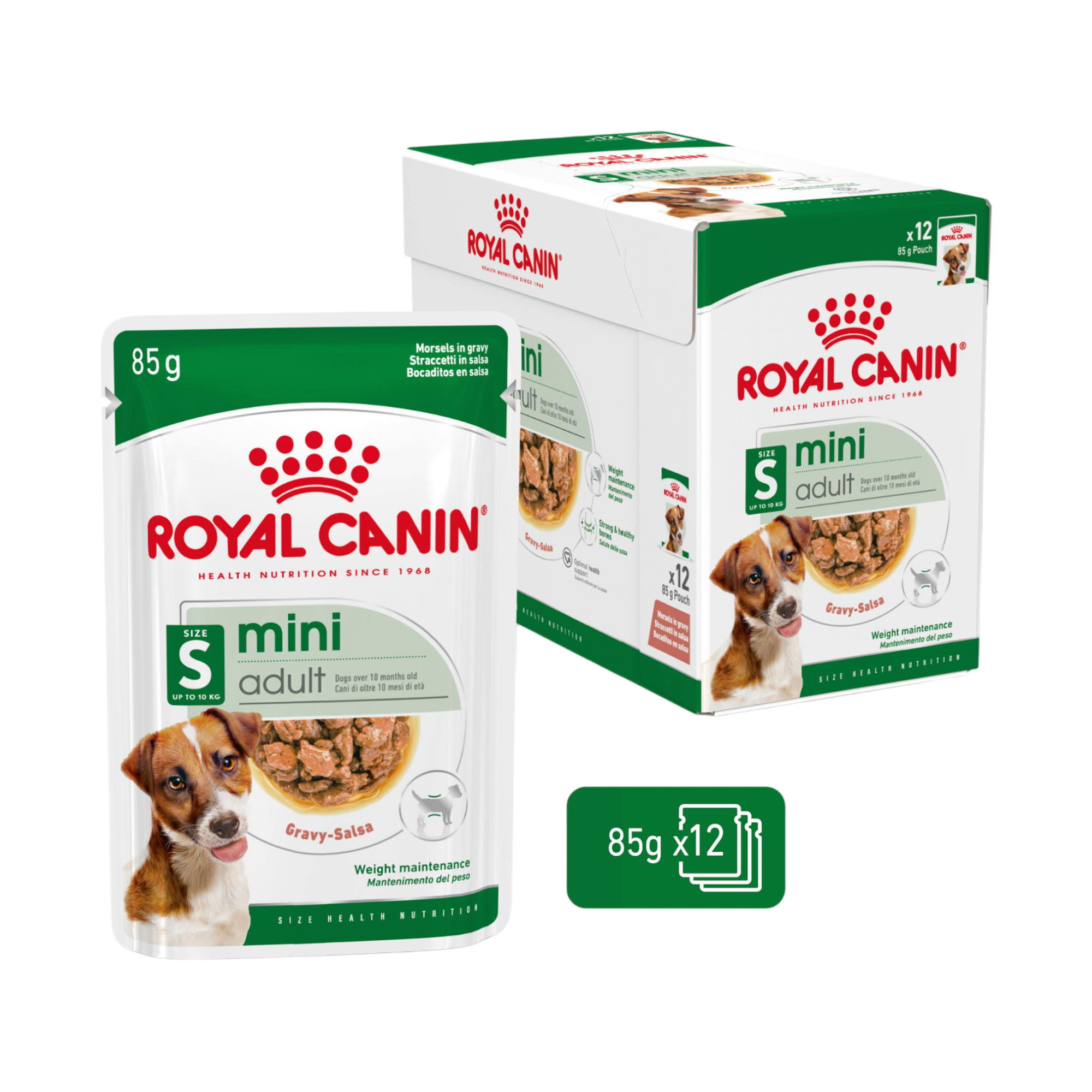 Royal Canin Mini Adult Wet - 12 x 85g