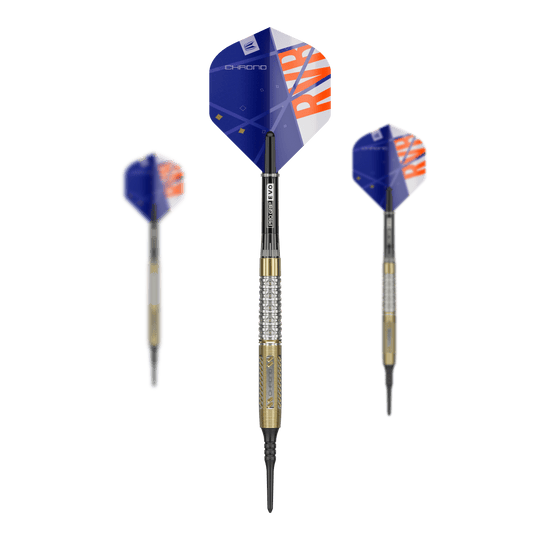 Target Raymond Van Barneveld Chrono 95 soft darts