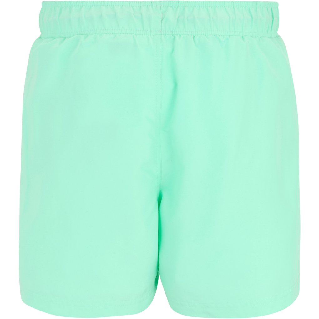 Regatta Mawson II Swim Shorts Men - Ice Green/Sonic Blue ZKB
