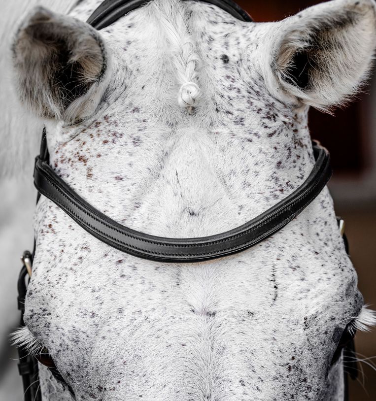 Horseware Micklem® Competition Bridle