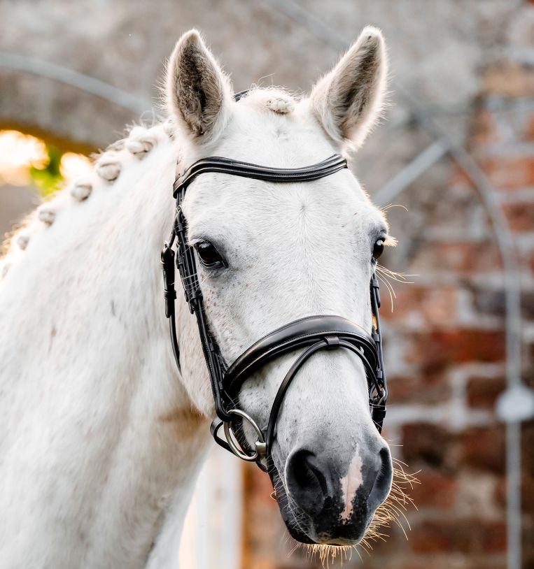 Horseware® Pony Flash Bridle