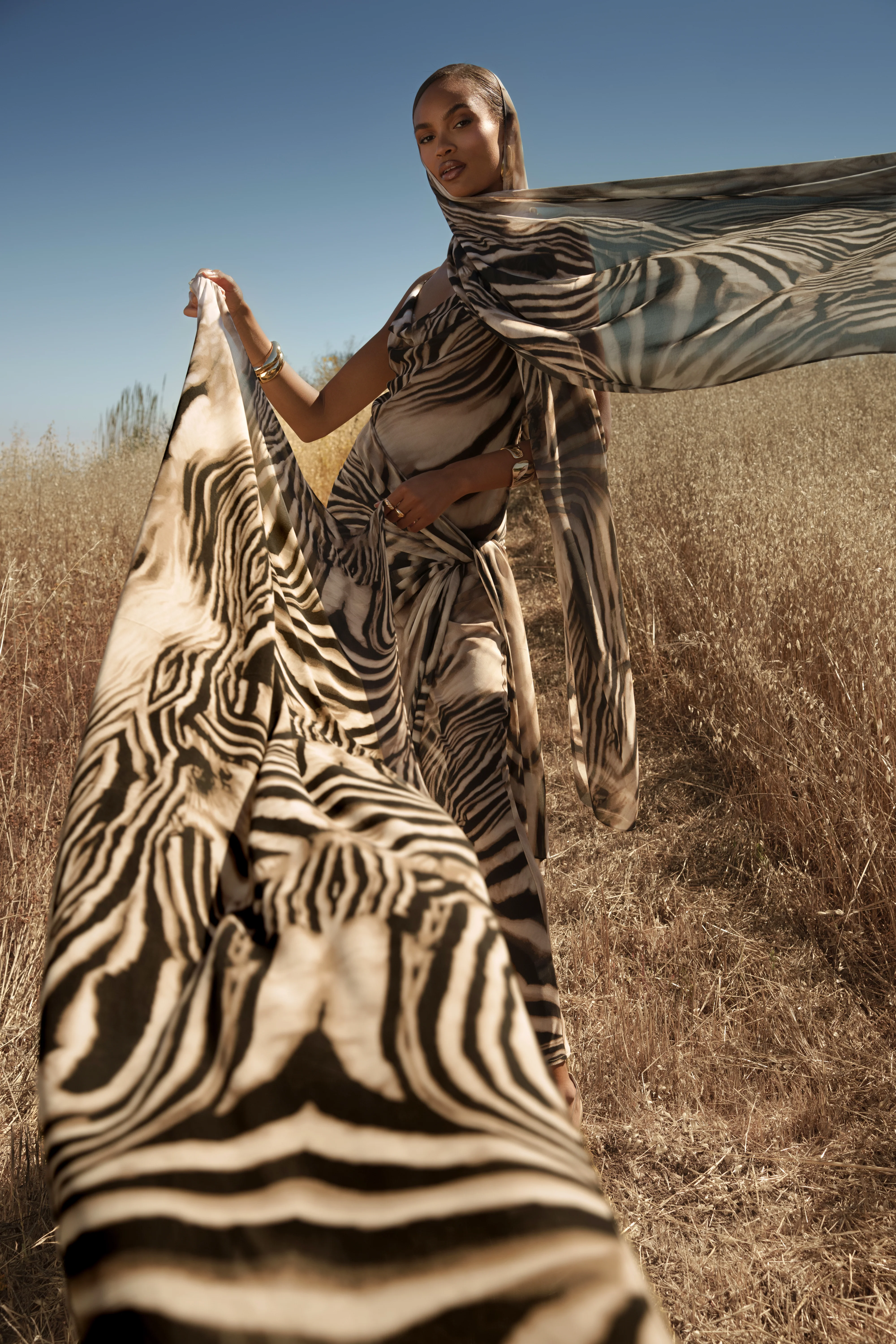 Brown Zebra Print Shadow Safari Scarf